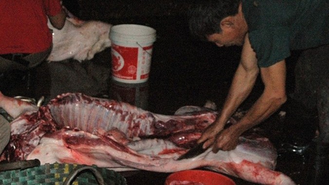 Thịt lợn chết được pha với thịt lợn sống không ai có thể phát hiện được.