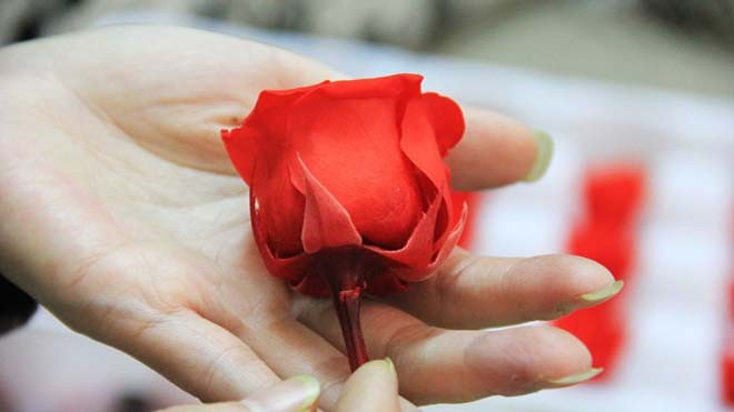 Hoa tươi Đà Lạt được sấy khô và nhuộm màu, có giá khá đắt 20.000 - 80.000 đồng/ bông. Ảnh: Ngọc Lan. 