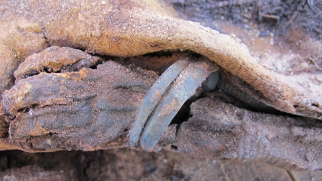 Phần xác ướp của một đứa trẻ. Nó có thể được chôn cất và ướp xác cách đây 1.500 năm. Ảnh: Kerry Muhlestein