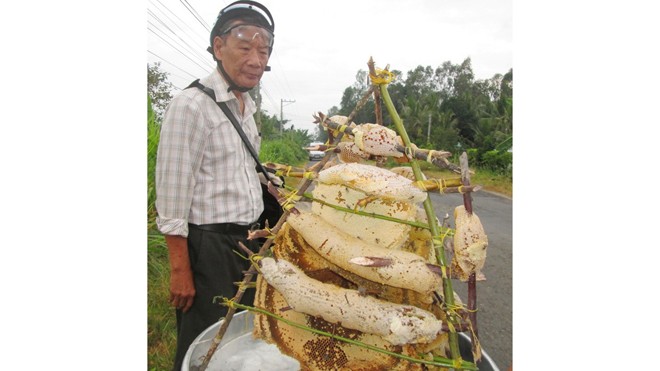 Mùa khô là thời điểm mùa khai thác mật ong chính vụ. Do ong tại các vùng rừng miền Tây không còn nhiều nên người làm nghề rủ nhau sang biên giới Campuchia khai thác, vì đây là vùng có nhiều ong mật.