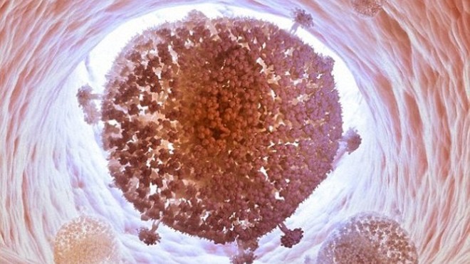 Lần đầu tiên các nhà khoa học ở Philadelphia (Mỹ) đã tìm ra cách tiêu diệt hoàn toàn virut HIV ra khỏi tế bào con người.