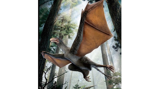 Phác họa loài khủng long mới có đôi cánh dơi. Ảnh: Dinostar Co. Ltd