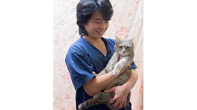 Mèo Pippa hiện được chăm sóc tại một nhà nuôi dưỡng. Ảnh: Animal Welfare League.