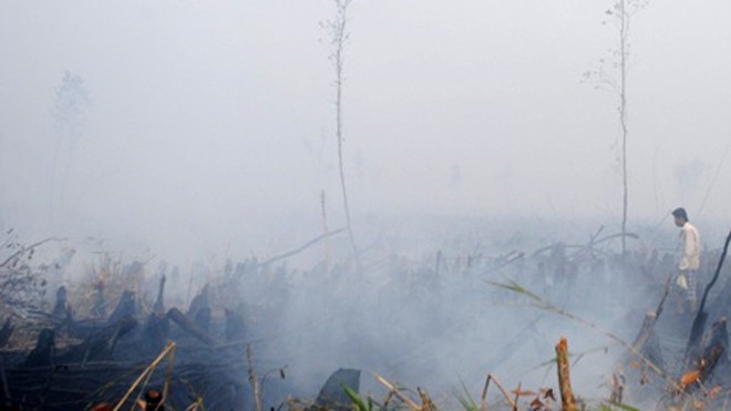 Cháy hơn 10ha rừng U Minh Hạ