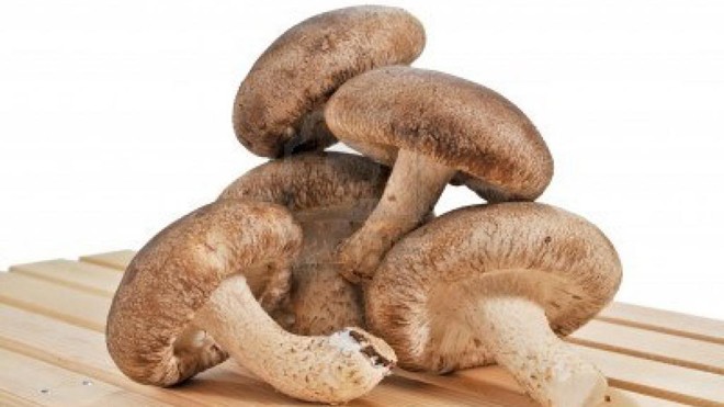 Những loại nấm rất tốt cho sức khỏe