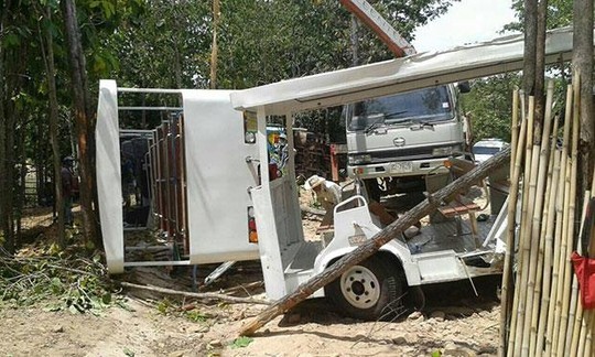Hai chiếc xe điện nằm chỏng chơ ở vườn thú Khon Kaen. Ảnh: Bangkok Post
