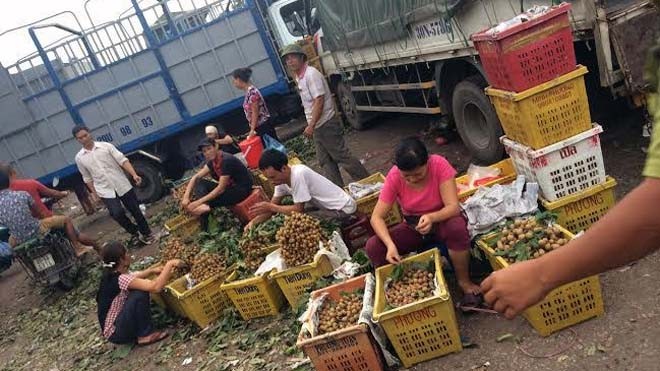 Nhãn Sơn La, Trung Quốc, Thái Lan ngập chợ đầu mối Long Biên