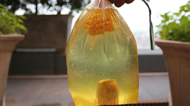 Hai miếng khoai, ngô ngâm trong dung dịch nước pha bột thông cống sau 30 phút chuyển thành màu vàng, chạm tay vào khá nóng.
