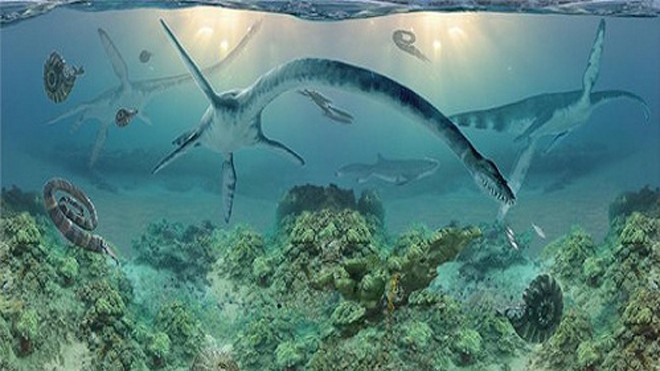 Elasmosaur có chiếc cổ dài bằng một nửa cơ thể. Ảnh minh họa: James Havens.