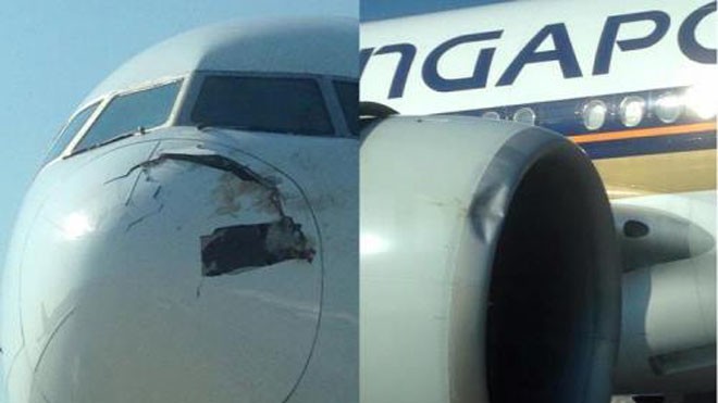 Máy bay của Singapore Airlines bị thiệt hại nặng sau khi đâm phải một đàn chim. Ảnh: 7 News Sydney
