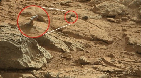 Hình ảnh con thằn lằn kỳ lạ trên sao Hỏa