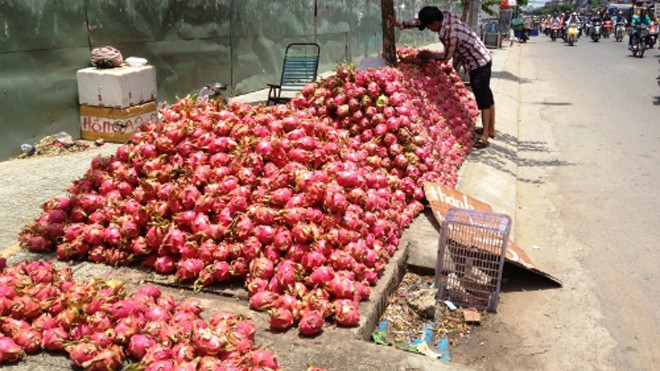 10.000 đồng 4kg thanh long được rao bán tại đường Phan Văn Trị (Bình Thạnh). Ảnh: Thi Hà.