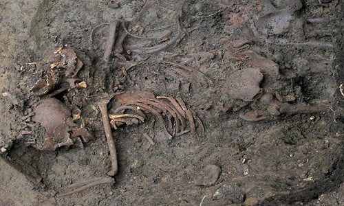 Bộ xương của một tù binh trẻ được chôn trong ngôi mộ tập thể tìm thấy ở Đại học Durham. Ảnh: Richard Annis.