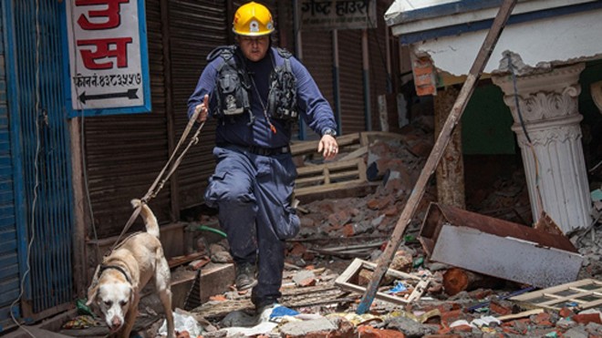 Một nhân viên cứu hộ dắt chó nghiệp vụ tìm kiếm nạn nhân sau trận động đất ở Nepal. Ảnh: CNN