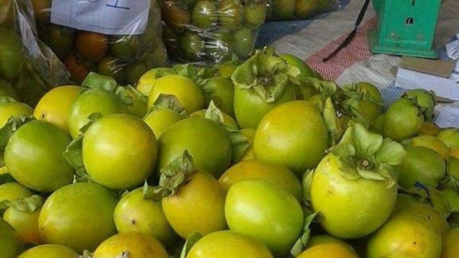 Hồng giòn Đà Lạt đầu vụ được rao trên một số trang bán hàng online tại Hà Nội lên tới 55.000 đồng một kg, gấp gần 30 lần so với giá gốc mua tại vườn. Ảnh: D.A.