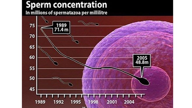 Ăn nhiều chất béo có thể làm giảm tinh trùng