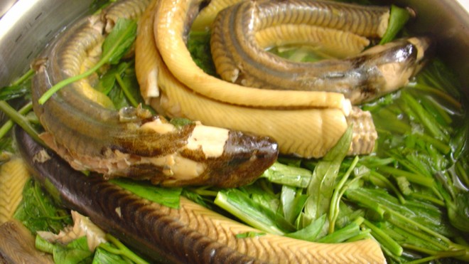 Lươn là thực phẩm phổ biến trong bữa ăn hàng ngày của người Việt
