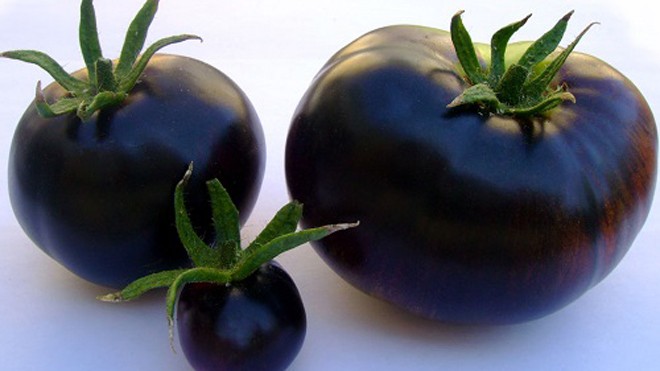 Cà chua đen có các thành phần chống oxy hóa tương tự như một số loại rau quả màu tím. Ảnh: Favri.
