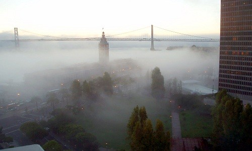 Sương mù bao phủ thành phố San Francisco. Ảnh: Wordpress.