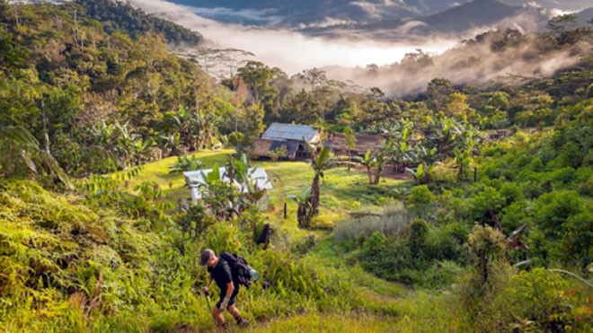 Du khách trekking trong rừng rậm ở Papua New Guinea. Ảnh: NatGeo