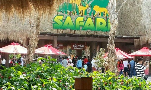 Mỗi ngày Vinpearl Safari đón tiếp hàng ngàn lượt khách đặc biệt cao điểm