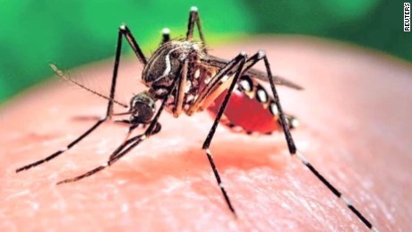 Việt Nam công bố hết dịch do virus Zika (ảnh minh họa)
