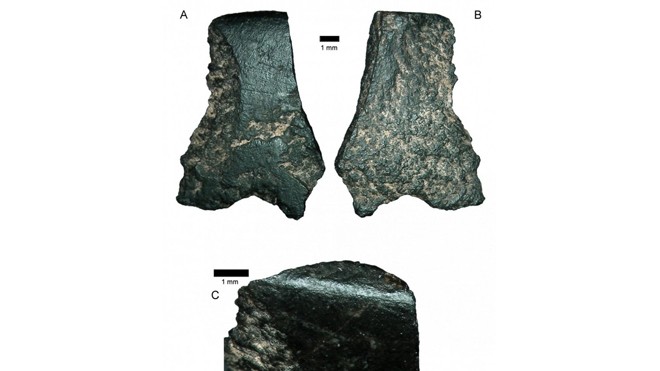 Mảnh rìu đá bazal dài 11mm được các nhà khoa học cho biết là mảnh vỡ của chiếc rìu được làm bằng tay cổ xưa nhất. Ảnh: Viện khảo cổ Australia