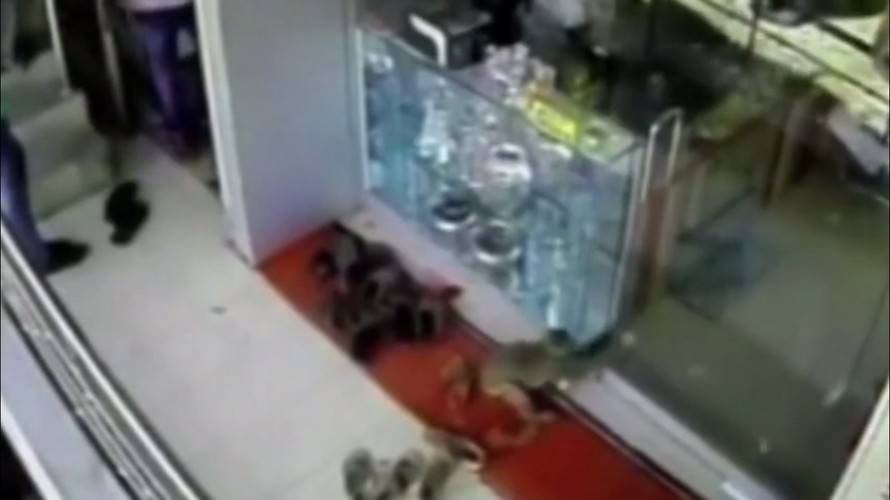 Khỉ lẻn vào ăn cướp trong cửa hàng trang sức ở Ấn Độ