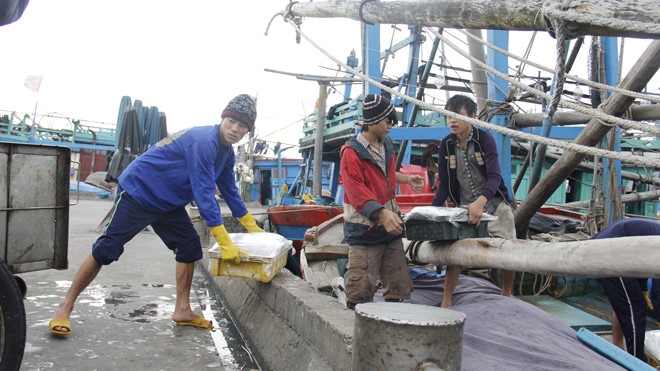 Đà Nẵng sẽ hỗ trợ gần 2,2 tỉ đồng cho ngư dân chịu ảnh hưởng vụ cá chết. Ảnh: Thanh Trần. 