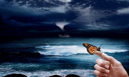 Hiệu ứng cánh bướm có thể dẫn đến tác động lớn đến thời tiết. Ảnh: Open Mind.