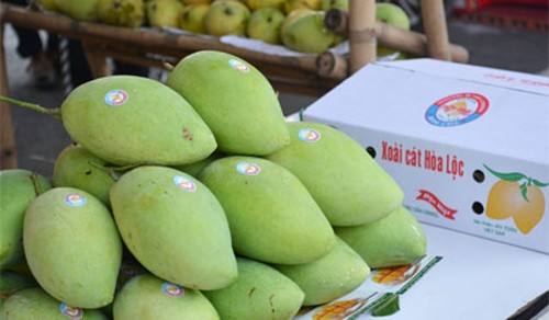 Nông sản, trái cây Việt trước khi xuất ngoại phải được chuẩn hóa về thương hiệu.
