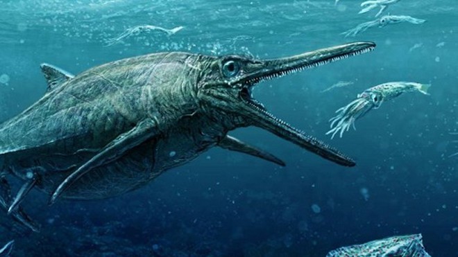 Đồ họa tái hiện loài thằn lằn cá dưới đại dương kỷ Jura. Ảnh: AFP.