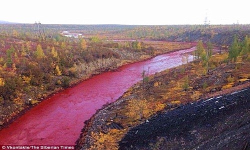 Nước sông Daldykan có màu đỏ quạch. Ảnh: The Siberian Times.