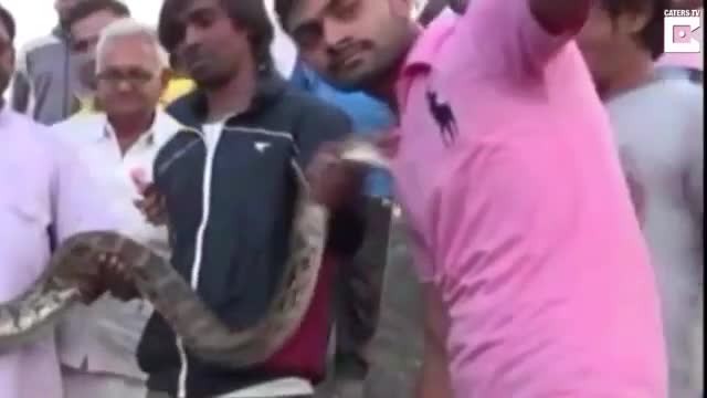Mải selfie, thanh niên Ấn Độ bị trăn đớp ngực