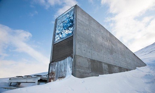 Hầm hạt giống toàn cầu ở Svalbard, Na Uy. Ảnh: National Geographic.