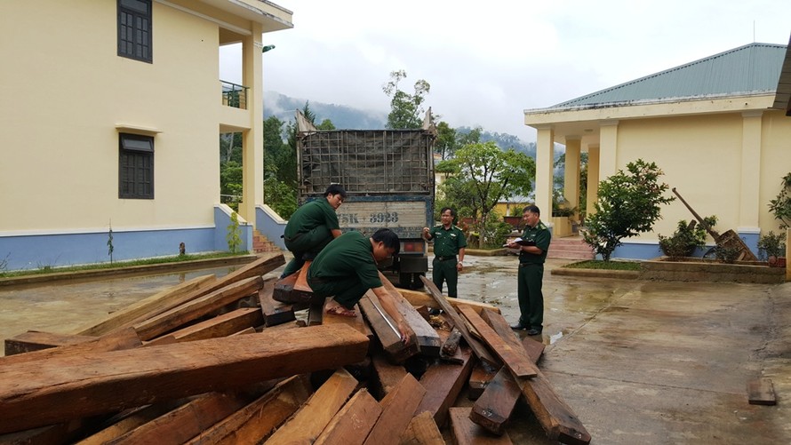 Lực lượng biên phòng tại TT-Huế tạm giữ số gỗ lậu phục vụ công tác điều tra. 