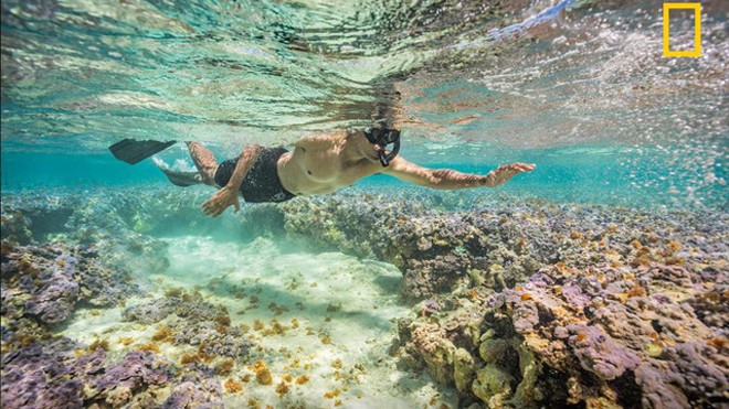 Tổng thống Obama lặn biển ngắm san hô ở Thái Bình Dương. (Ảnh: National Geographic)