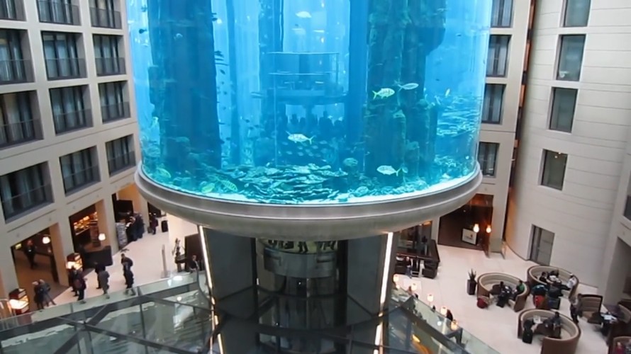 Tận thấy thang máy trong bể cá khổng lồ