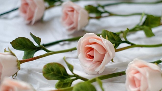 Hoa hồng sứ có hình dáng khá giống hoa thật được bán giá 3,2 triệu đồng một bông (chưa tính VAT), nếu có lồng kính thì giá là 3,8 triệu đồng.