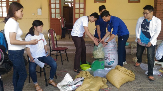 Đoàn viên, thanh niên tình nguyện thu gom hành tăm tìm thị trường bán giúp bà con nông dân.