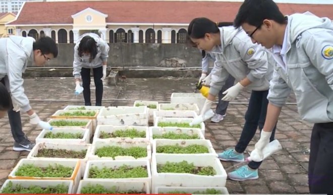 Sáng tạo của học sinh trường chuyên, biến nóc tòa nhà thành vườn rau sạch