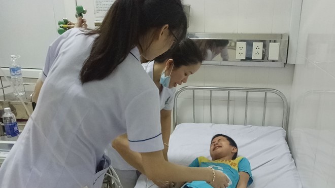 9 học sinh cấp 2 ở Hà Tĩnh phải nhập viện vì ngộ độc hạt cây ngô đồng