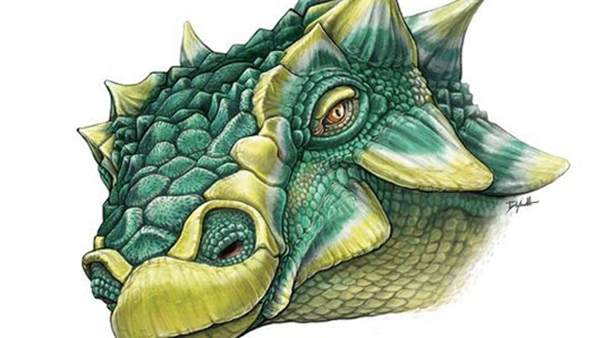 Hình vẽ mô phỏng phần đầu của khủng long đuôi chùy Zuul. Ảnh: Bảo tàng Hoàng gia Ontario.