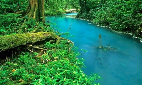 Màu xanh ngọc lam của sông Rio Celeste. Ảnh: Facebook.