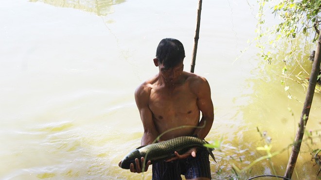 Dân hoang mang vì cá lồng chết trắng trên sông Bồ