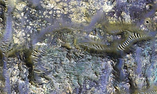 Những vết nứt trông giống con giun đang bò trên bề mặt sao Hỏa. Ảnh: NASA.