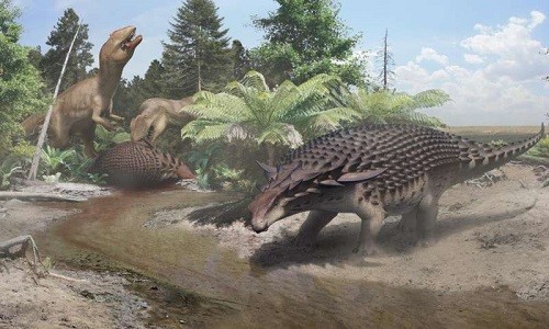 Màu da tương phản giúp nodosaur trốn các loài thú ăn thịt. Ảnh: Bảo tàng Tyrrell Museum.
