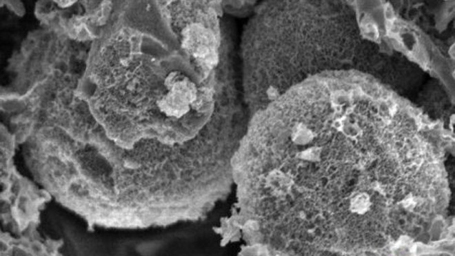 Hình ảnh các hạt các-bon xốp chụp bằng kính hiển vi điện tử Ảnh: Science Daily