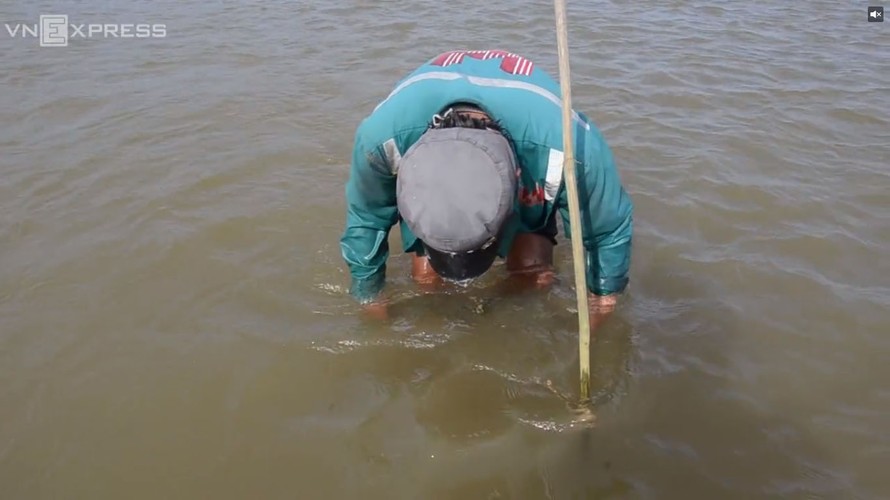 Đặt ống tre bẫy cá bống dưới sông Trà Khúc