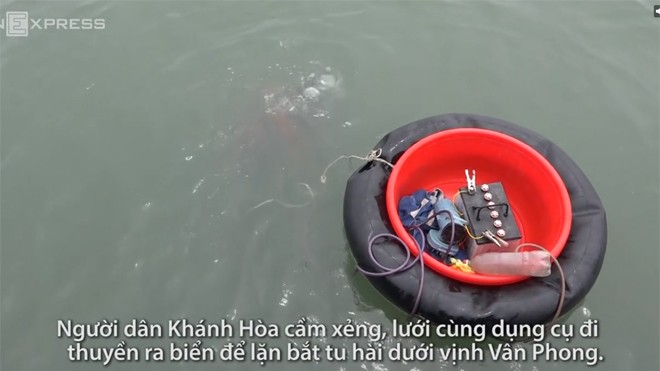 Lặn biển hàng giờ tìm tu hài dưới vịnh Vân Phong